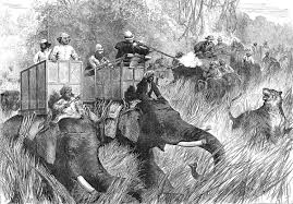 Tiger Hunting Art Prints, Posters & Puzzles