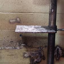 Floral Design students Andria Lab, Destiny Walkins, and Emily DeVecka are  hard at work crafting beautiful boutonnieres and corsages for homecoming!  We can't wait to see these stunning pieces worn to area