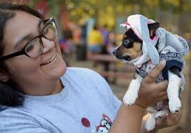PHOTO COLLECTION: Texas Forestry Museum's Fall Festival