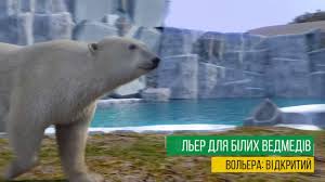 We did not find results for: Kakim Budet Harkovskij Zoopark Posle Rekonstrukcii Animaciya Youtube
