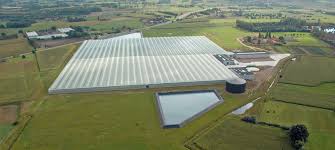 Led grow lights for grass. Tomato Production Expands With Hyperion 1 750 Led Grow Light
