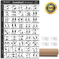 dumbbell workout exercise poster laminated strength