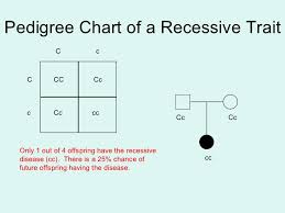 Module 10 Human Heredity