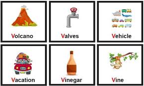 Letter v words for kids/ words that start with letter v/ phonics letter vquery sloved: Learn Vocabulary Words That Start With V For Kids The Soft Roots