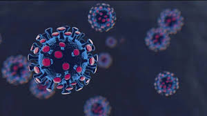 Icmr said, our research showed that covaxin could still neutralise delta, ay.1 and b.1.617.3 variants. lead author dr pragya yadav said that a minor reduction was observed in neutralising antibody titer in. à¤• à¤° à¤¨ à¤• à¤¤à¤¨ à¤–à¤¤à¤°à¤¨ à¤• à¤¹ à¤¡ à¤² à¤Ÿ à¤• à¤¸ à¤•à¤° à¤¬à¤š à¤µ à¤œ à¤¨ à¤ à¤¹à¤° à¤¸à¤µ à¤² à¤• à¤œà¤µ à¤¬ Corona Delta Plus Variant Symptoms Solution Explainer Aajtak