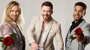 Home » entertainment » tv » the bachelorette 2019, hannah brown: Die Bachelorette 2019 Diese Kandidaten Buhlen Um Gerda Lewis