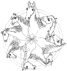 Dolfijn kleurplaat mandala dieren makkelijk. Kleurplaat Tijger Mandala