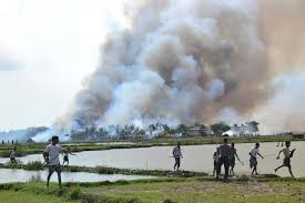 Image result for rohingya