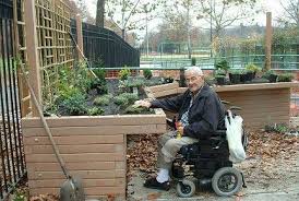 Accessible Garden Love This Idea Sensory Garden Garden Beds Raised Garden Beds