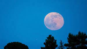 The face bears a timid expression and has a red dot in the middle of the forehead. 2021 S Largest Full Moon Will Light Up The Sky Tonight