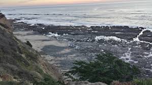 Torrey pines state natural reserve is 2,000 acres of coastal state park located in the community of la jolla, in san diego, california, off north torrey pines road. James V Fitzgerald Marine Reserve Moss Beach Ca California Beaches