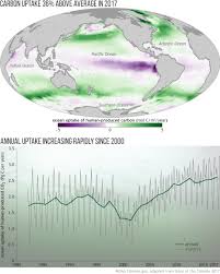 ocean uptake of human produced carbon