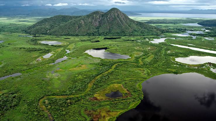 Pantanal Wildlife Brazil