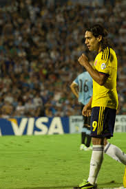 El tigre lakabıyla da bilinir. ãƒ•ã‚¡ã‚¤ãƒ« Radamel Falcao Jpg Wikipedia