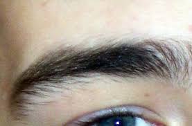 Es vergeht kein tag, an dem nicht zahlreiche fotos verschönerter und gepflegter augenbrauen auf twitter, instagram und co. Augenbraue Definition And Synonyms Of Augenbraue In The German Dictionary