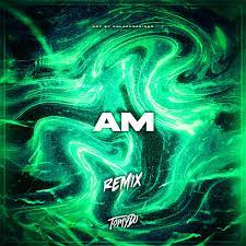 Stream songs including am remix. Am Remix Single By Tomy Dj Spotify