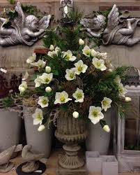 We did not find results for: Adventsausstellung Blumen Rampp