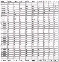 Bernedoodle Growth Chart Growth Chart For Puppy Puppy