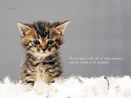 Are any mythological creatures mentioned in the bible?. 11 Scripture Wallpaper With Cat Pictures On Wallpapersafari