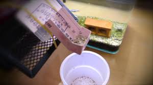 Then it's a must to spend 5 minutes on this diy system. Automatic Fish Feeder Diy Youtube