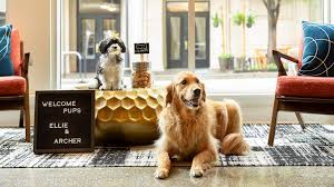 Your pet is your best travel buddy. Ceqj Tkktu59cm
