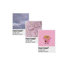 Freetoedit Aesthetic Pink Pantone Tattone Aesthetics Grungeaesthetic Grunge Vintage Tumb Aesthetic Stickers Cute Emoji Wallpaper Pastel Pink Aesthetic
