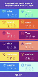 Learn the answers to these questions with our complete cancer compatibility guide. Which Plants Herbs Are Most Compatible With Your Star Sign Wishing Moon
