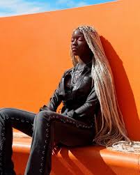 Black And Brown Braids On Dark Skin Queentoide White Box Braids On Dark Skin Perfect Ebony Complexion Red Box Braids Olive Skin Complexion Box Braids