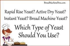 What Yeast To Use In Your Bread Machine Bread Machine Recipes