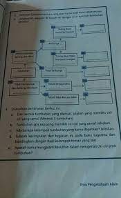 We did not find results for: 2 Tentukan 5 Jenis Tumbuhan Yang Akan Kamu Buat Kunci Dikotomnya3 Lengkapilah Diagram Di Bawah Ini Brainly Co Id