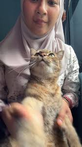 pwincess look NUR QAIRINA MIKAYLA dauhgther of @padel_roslan #baby  #babygirl #babiesofinstagram #babyfashion