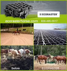 The river shares its name with the alto purús national park as well as the purús province (and its conformed purús district), one of the four provinces of peru in the ucayali region Show Equine Professional Company