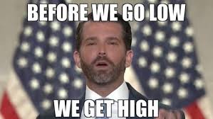 Constitution addresses the subject of presidential succession. Donald Trump Jr Is Now Calling For Joe Biden To Be Removed Via The 25th Amendment Makes Me Wonder What The Source Of His Seemingly Perpetual Confusion Stems From 9gag