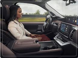 Image result for Dark Brown 2025 Fleet