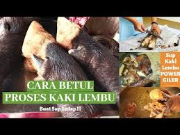 Sup gear box rm20,sup tulang rm20,sup kaki lembu rm15,mee sup rm3,kwe tiaw sup. Cara Betul Proses Kaki Lembu Buat Sup Urat Keting Sedap Youtube