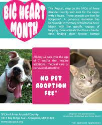 Check Out Big Hearts Month At The Spca Of Anne Arundel County Heart Month Big Heart Spca