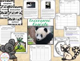 Project Based Learning Endangered Animals Build A Preserve And Research Enda Project Based Learning Project Based Learning Science Endangered Animals Project