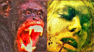 It was even suggested that the child might be a foreigner, as she. Unsolved Torture Death Of Nurin Jazlin Youtube
