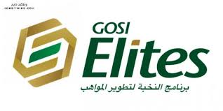 برنامج النخبة التوظيفي لتطوير المواهب Gosi التأمينات الاجتماعية وظائف تايم Okay Gesture Job Hope You