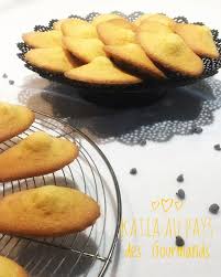 Madeleines Aux Pepites De Chocolat Katia Au Pays Des Gourmands Recette Alimentation Pepite Chocolat Gourmands