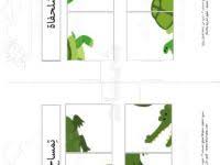 ماذا يحتاج النبات لينمو اوراق عمل علوم مراحل نمو النبتة4 Activities Kindergarten Classroom