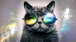 Galaxy Cat Wallpaper Group 50