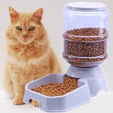 Like timed/schedule options and/or gravity feed options? 30 Best Automatic Cat Feeder 2020 Reviews Updated Guide Automatic Cat Automatic Cat Feeder Cat Feeder