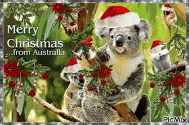 Find funny gifs, cute gifs, reaction gifs and more. Christmas In Australia Gif Australia Moment