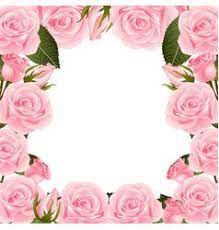 Pink Rose Flower Frame Border Vector Flower Border Clipart Flower Picture Frames Flower Frame