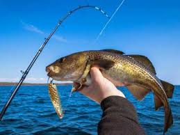Fishing.org - Blog