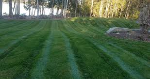 We'll customize your landscaping services to your exact needs. Products Services Petes Landscape Supply