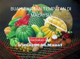 Di bawah dikongsikan contoh karangan kelebihan dan kebaikan buah buahan tempatan sebagai rujukan buat para pelajar. Kelebihan Buah Buahan Tempatan Khasiat Buah Buahan Tempatan Sebab Di Dalamnya Memiliki Banyak Kandungan Seperti Zat Besi Fosfor Kalsium Dan Lainnya Anindadwiki