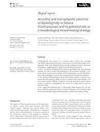 Image result for Sebaea sedoides