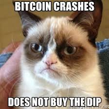 Bitcoin Buy The Dip 2 Out Of 3 Crypto Crashes Like The Current One Ended Up Being A Multi Year Bear Market Cryptocurrency Btc Usd Seeking Alpha